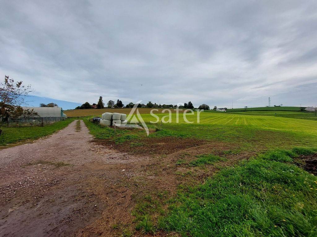 Sheep farm  Corrèze
