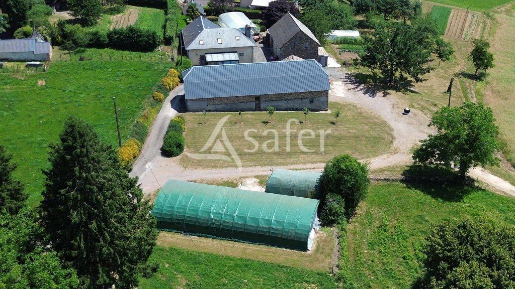 Sheep farm  Corrèze