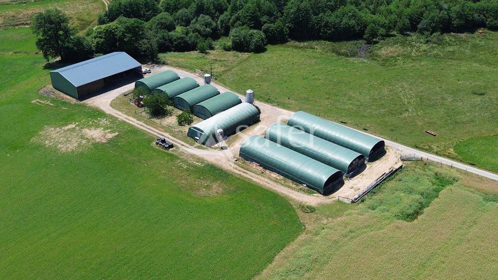 Sheep farm  Corrèze
