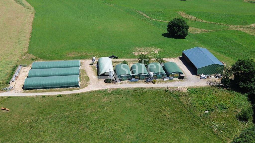Sheep farm  Corrèze