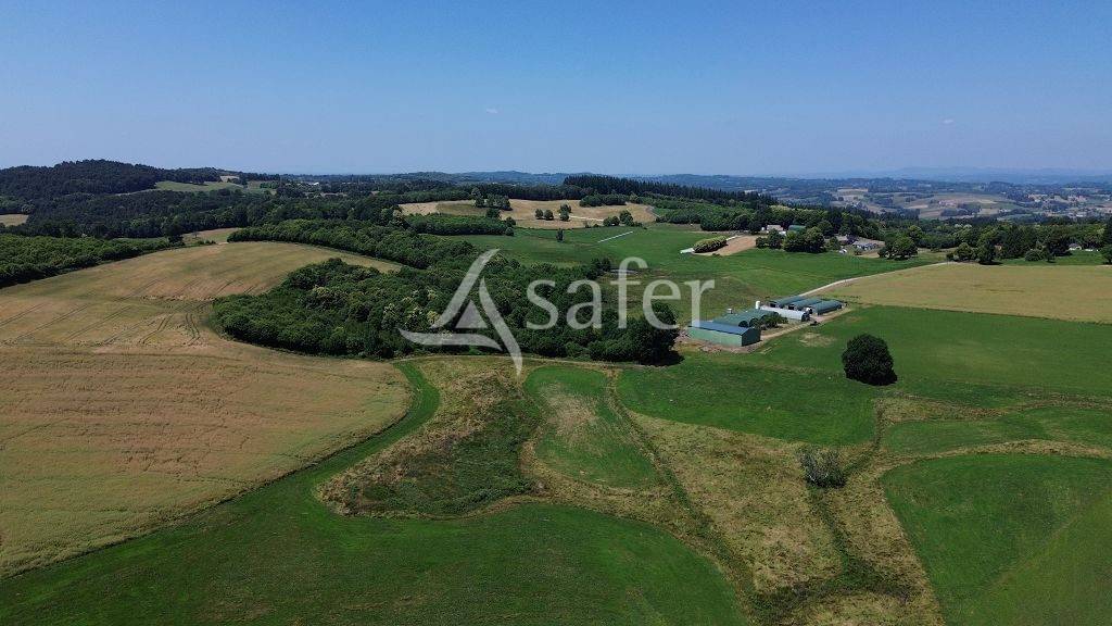Sheep farm  Corrèze