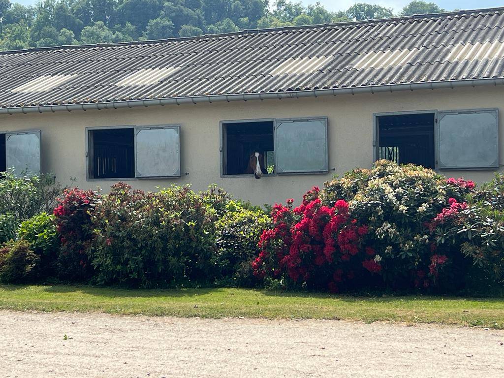 Luxurious equestrian property  Eure