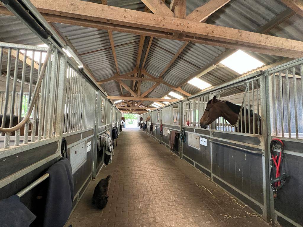 Luxurious equestrian property  Eure