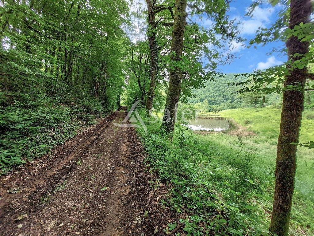 Other agricultural property  Corrèze