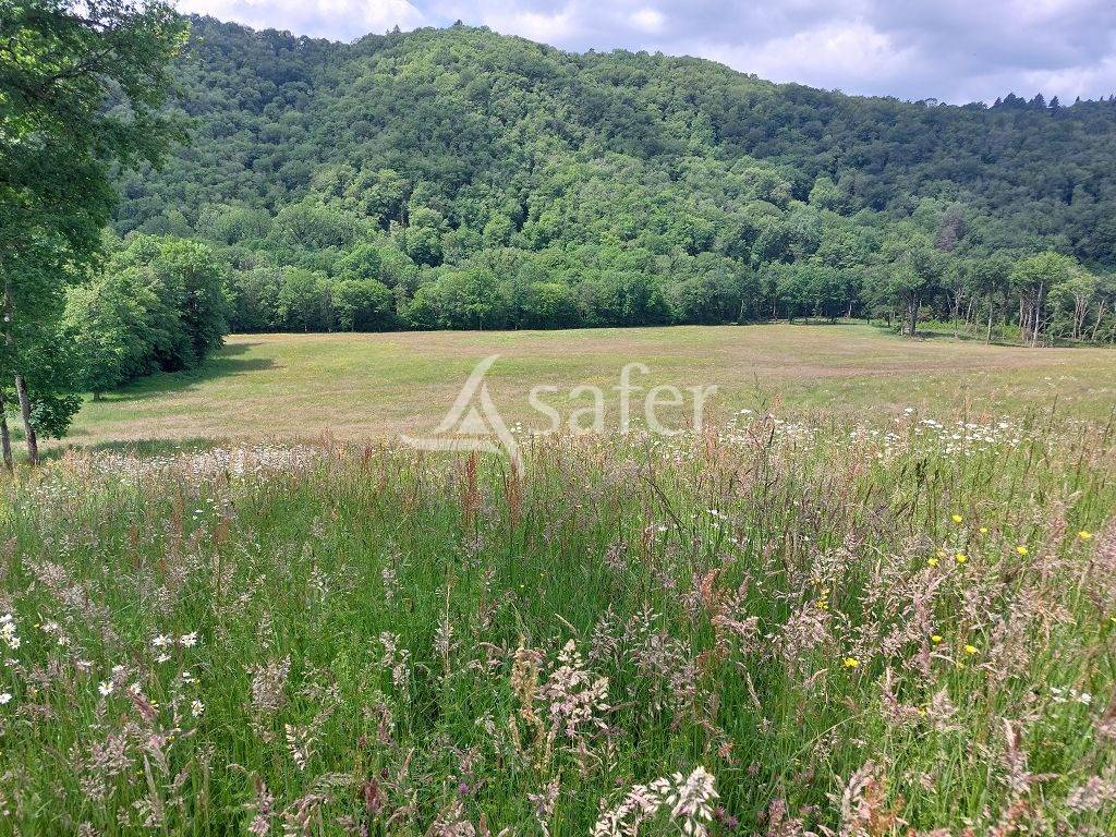 Other agricultural property  Corrèze