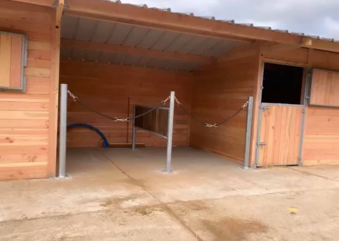 Les Ecurie K | Horse trading > Horse dealers