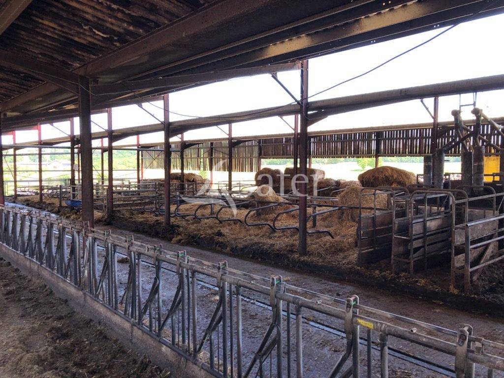 Dairy farm  Dordogne