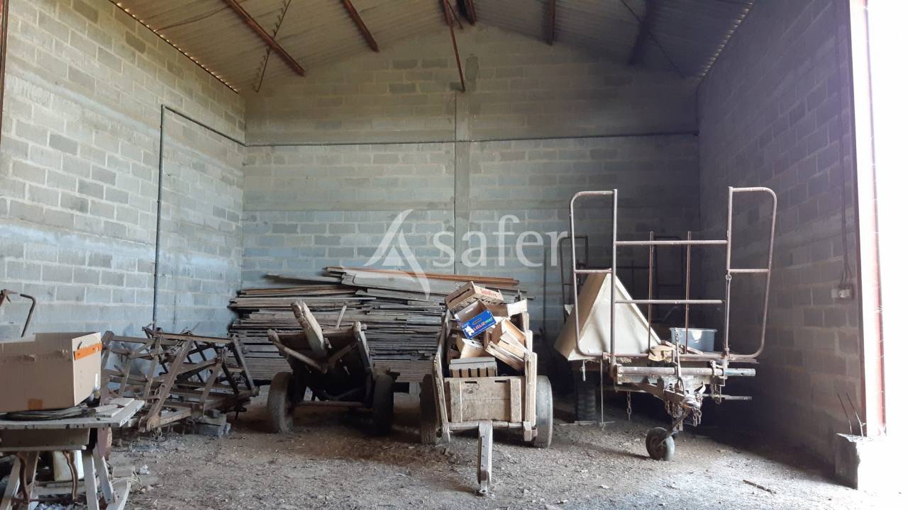 Other agricultural property  Charente-Maritime