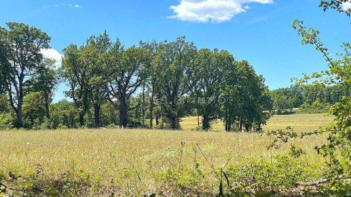 Equestrian property  Var