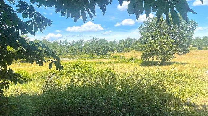 Equestrian property  Var