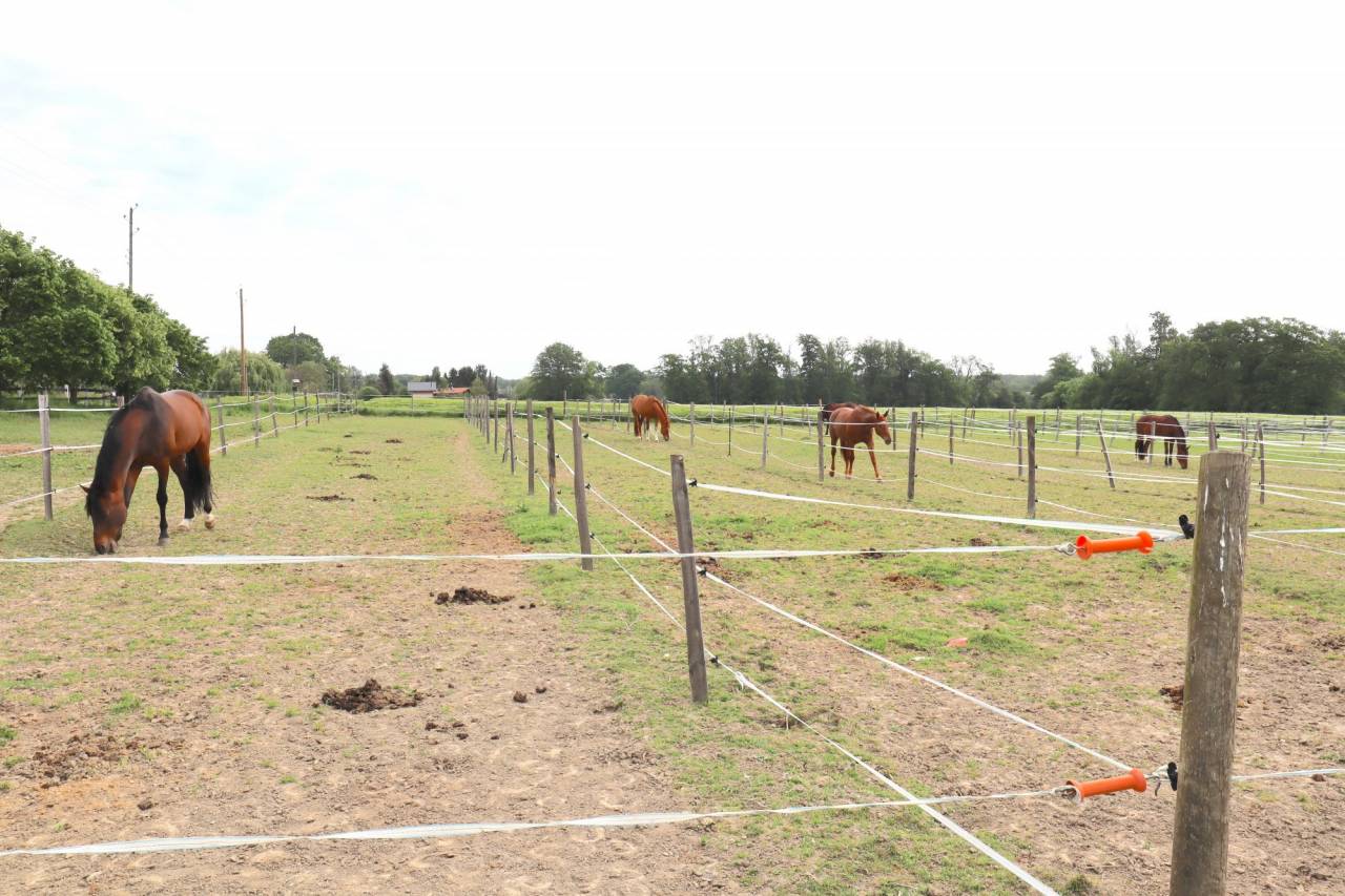 Equestrian property  