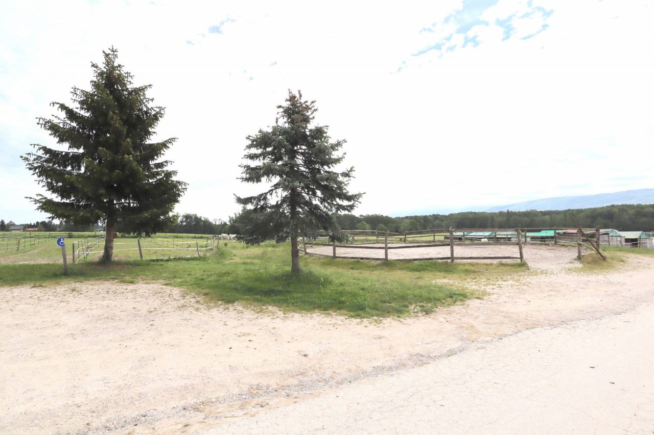 Equestrian property  