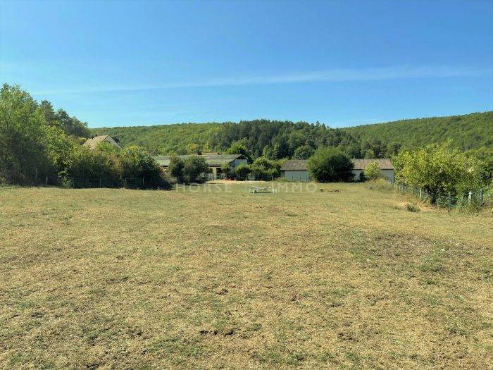 Equestrian property  Côte d'Or