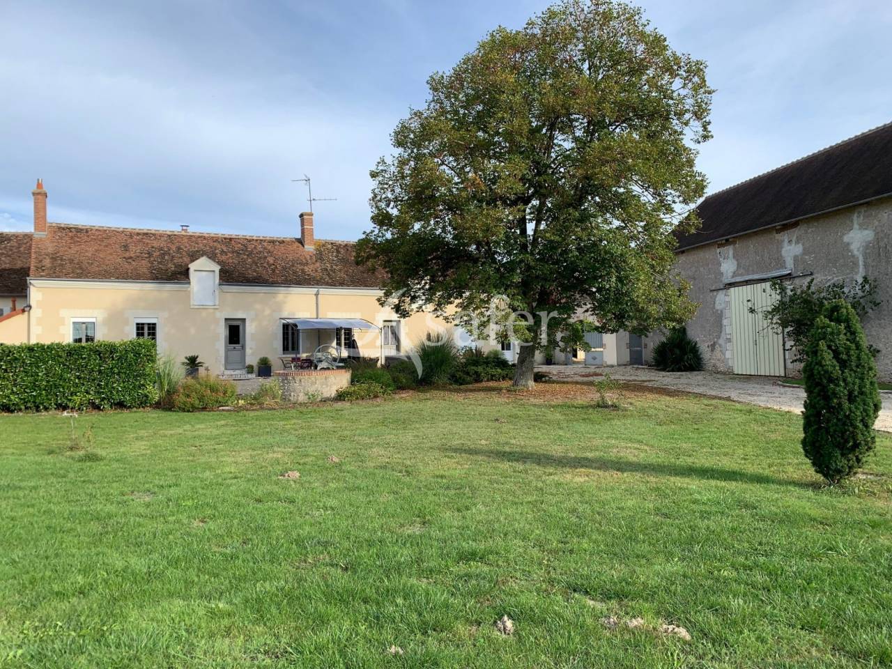 Grain farm  Loir-et-Cher