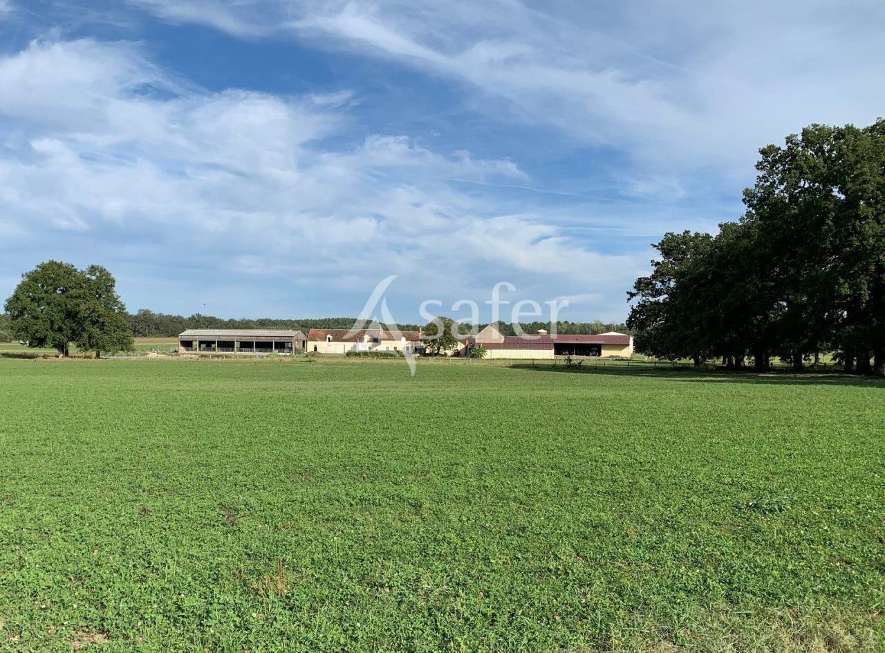 Grain farm  Loir-et-Cher