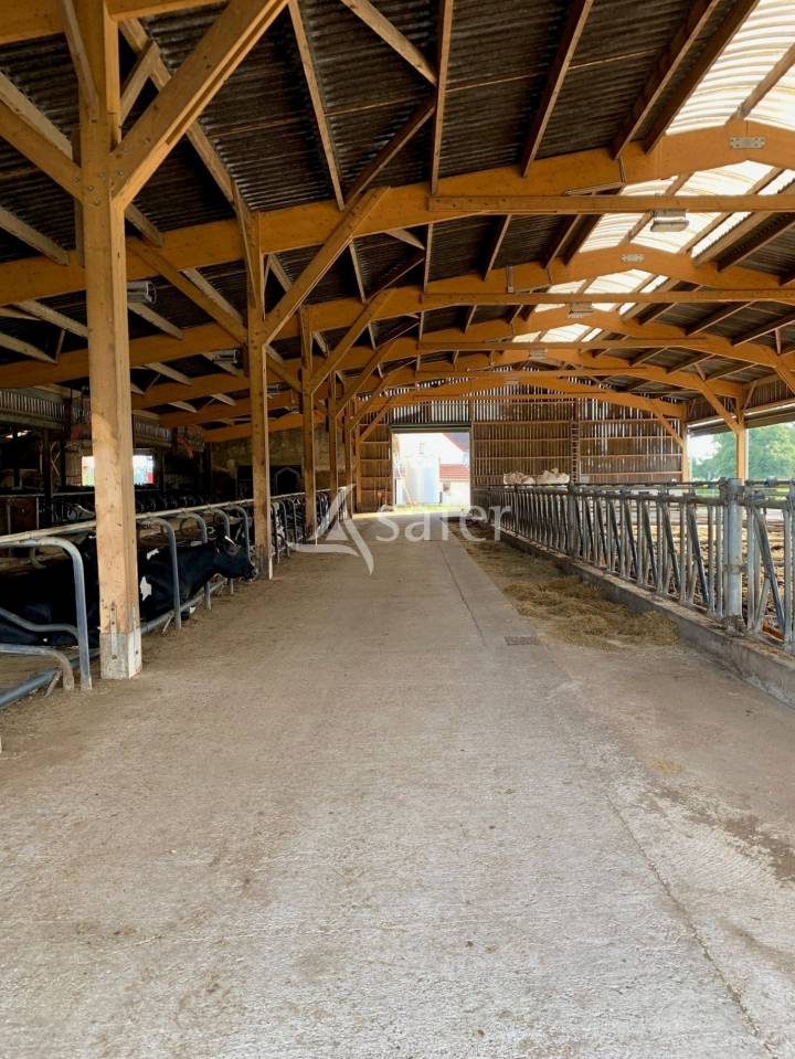 Grain farm  Loir-et-Cher