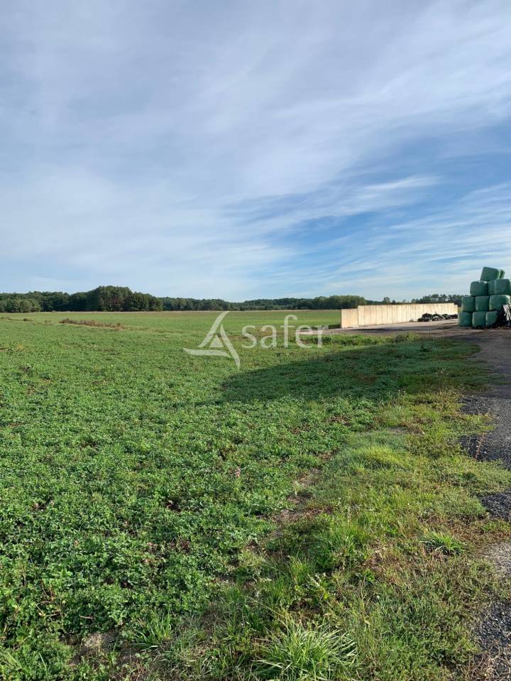 Grain farm  Loir-et-Cher