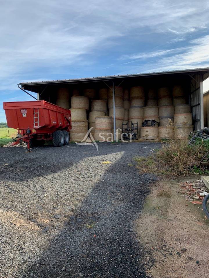 Grain farm  Loir-et-Cher