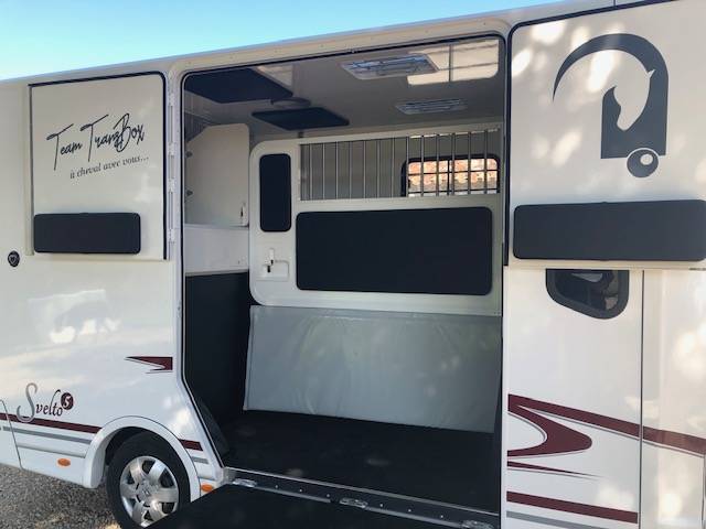 Horsebox HGV Trans Box New svelto 5  2024 New