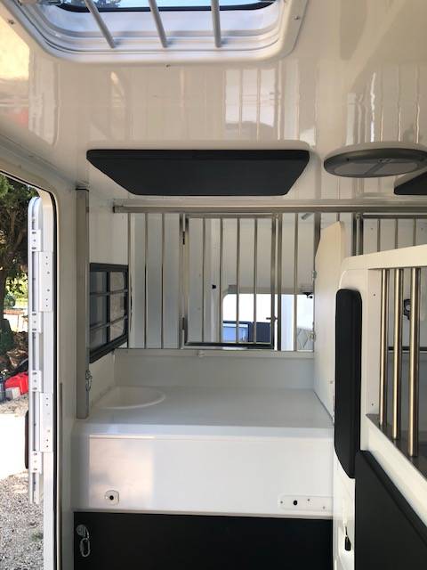 Horsebox HGV Trans Box New svelto 5  2024 New