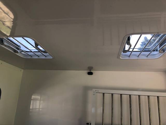 Horsebox HGV Trans Box New svelto 5  2024 New