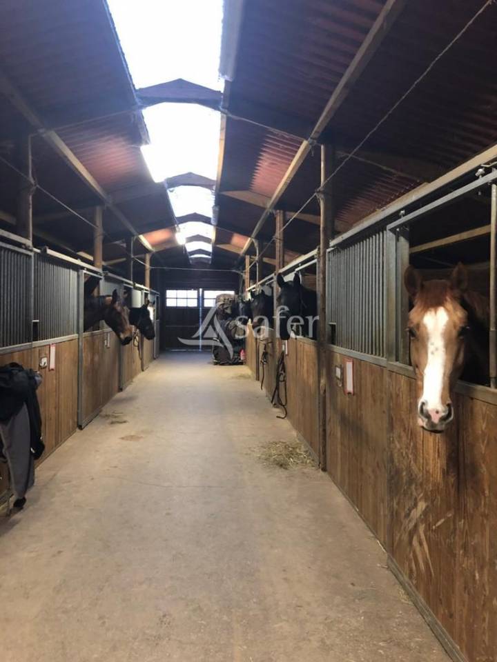 Equestrian property  Aveyron