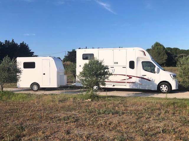 Horsebox HGV Trans Box Svelto et sporting  2023 New