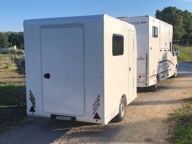 Horsebox HGV Trans Box Svelto et sporting  2023 New