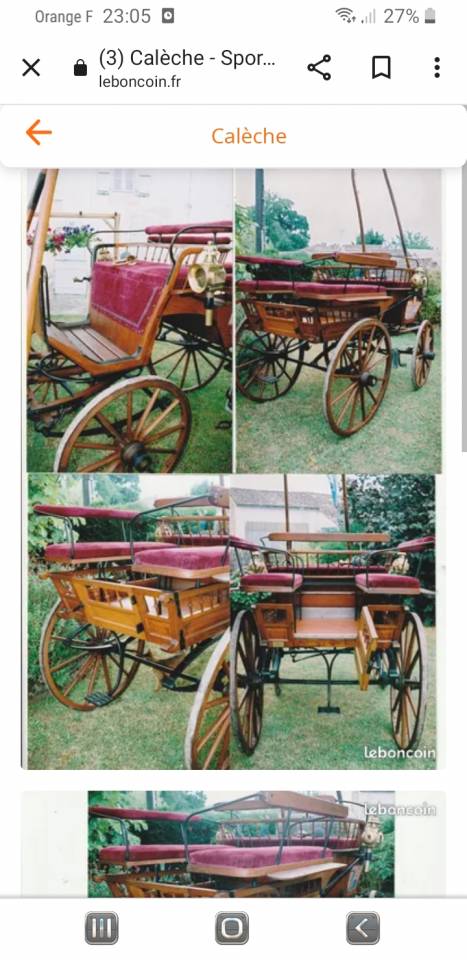 Carriage - Brake  Bernois Suisse 1880 