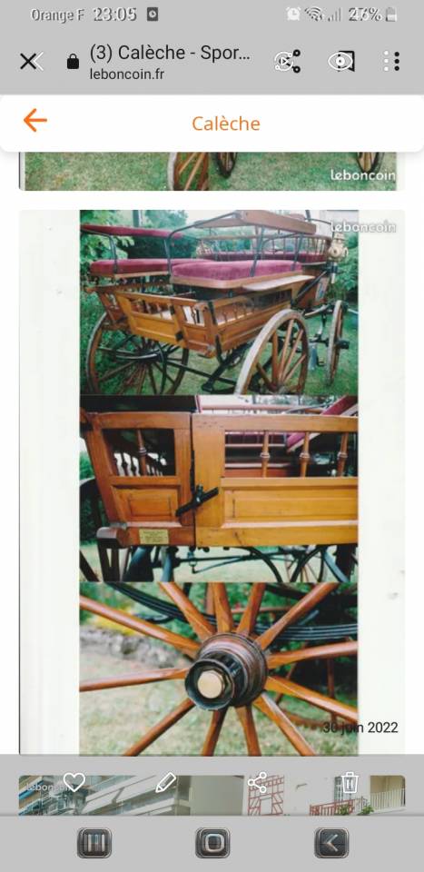 Carriage - Brake  Bernois Suisse 1880 