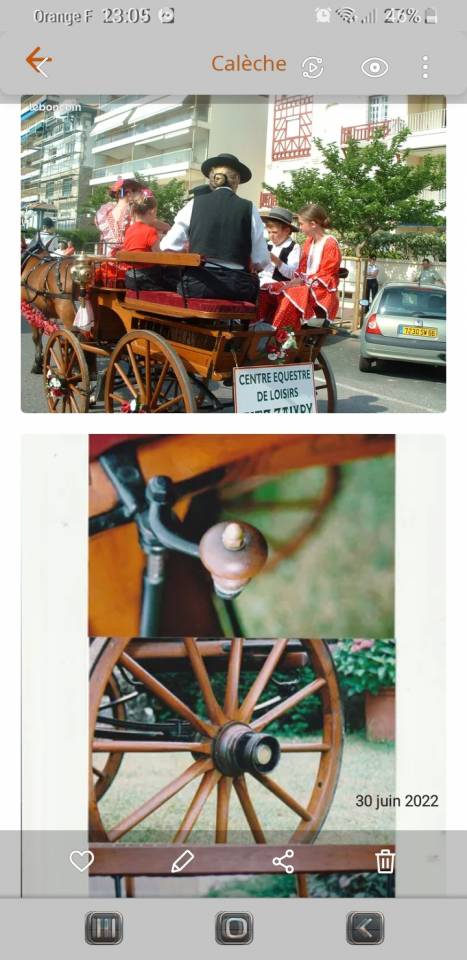 Carriage - Brake  Bernois Suisse 1880 