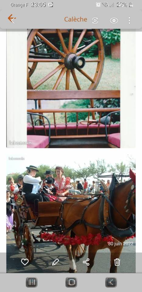 Carriage - Brake  Bernois Suisse 1880 