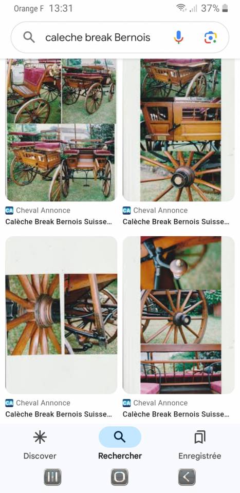 Carriage - Brake  Bernois Suisse 1880 