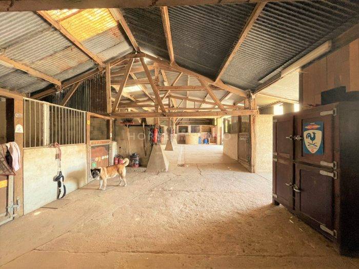 Equestrian property  Seine-et-Marne