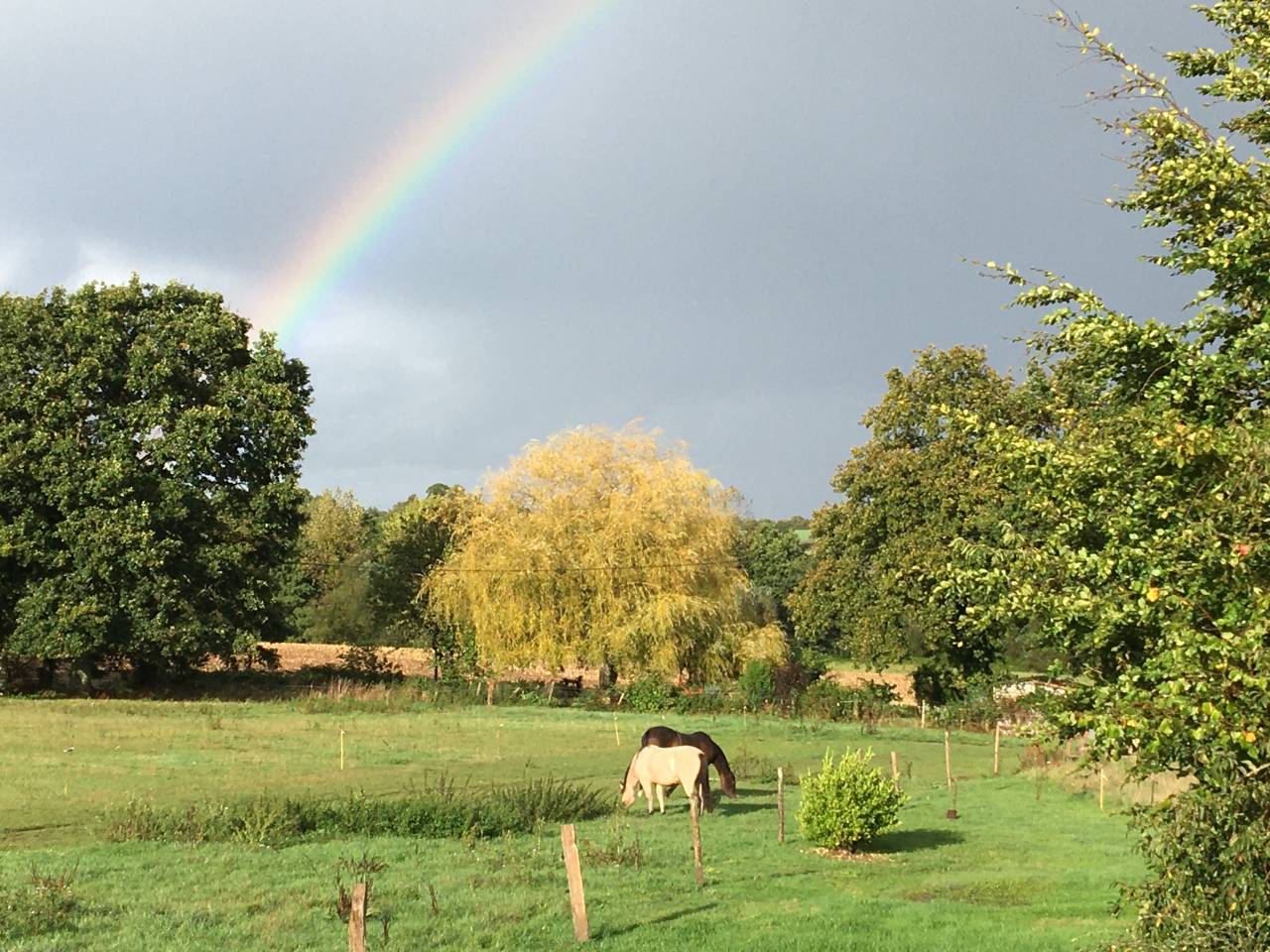 Equestrian property  Côte d'Armor