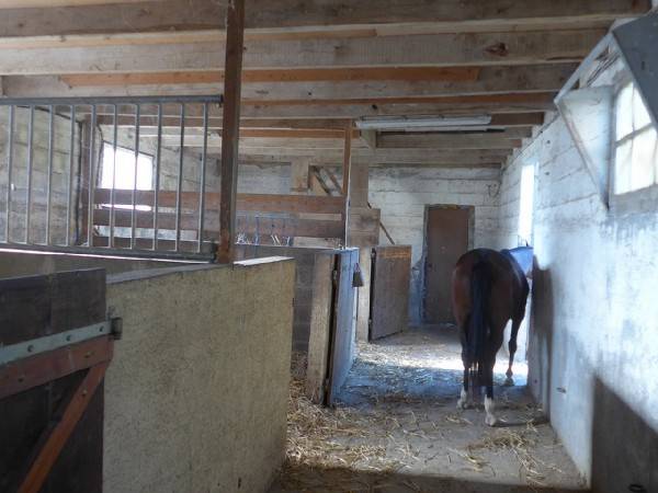 Equestrian property  Côte d'Armor