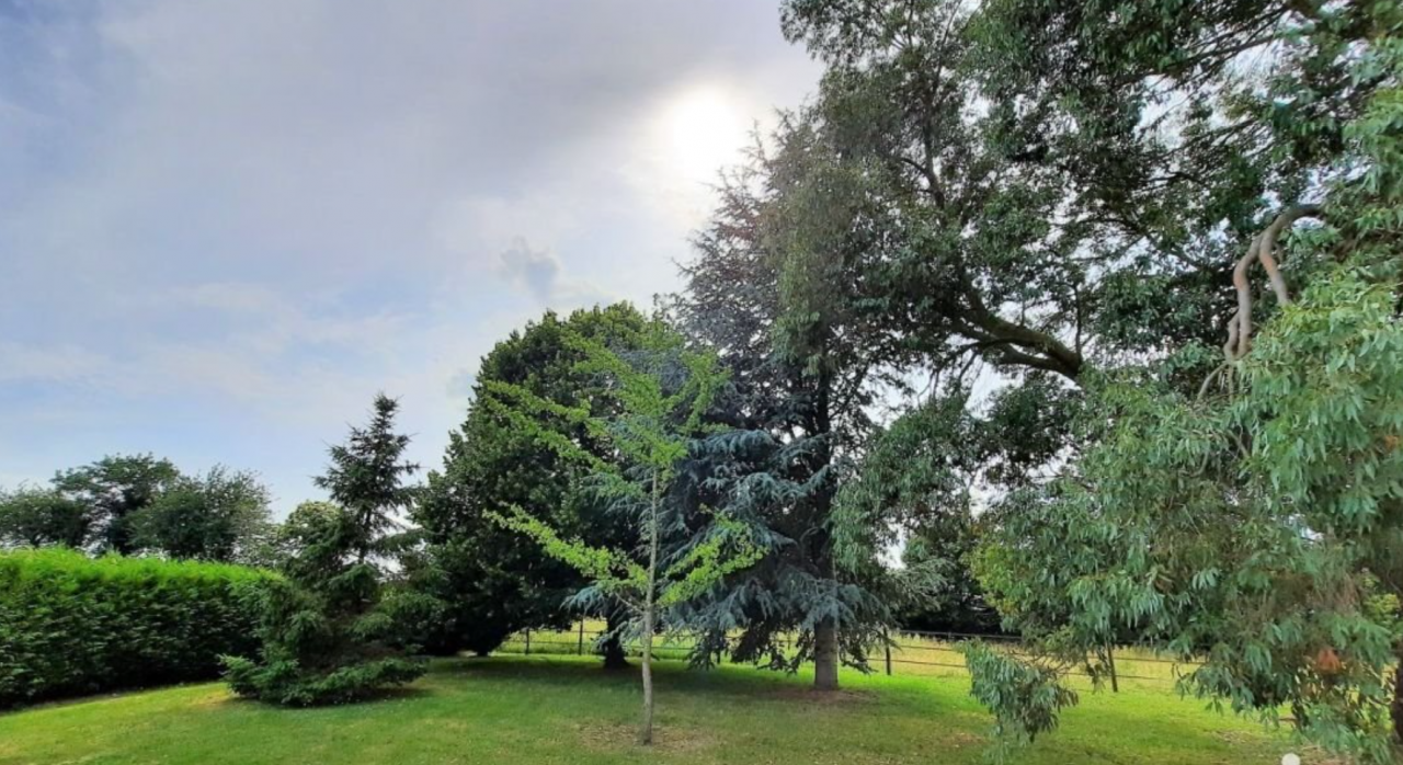 Equestrian property  Côte d'Armor