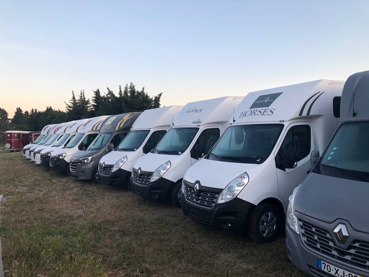 Horsebox HGV Trans Box NEW SVELTO 2023 Used