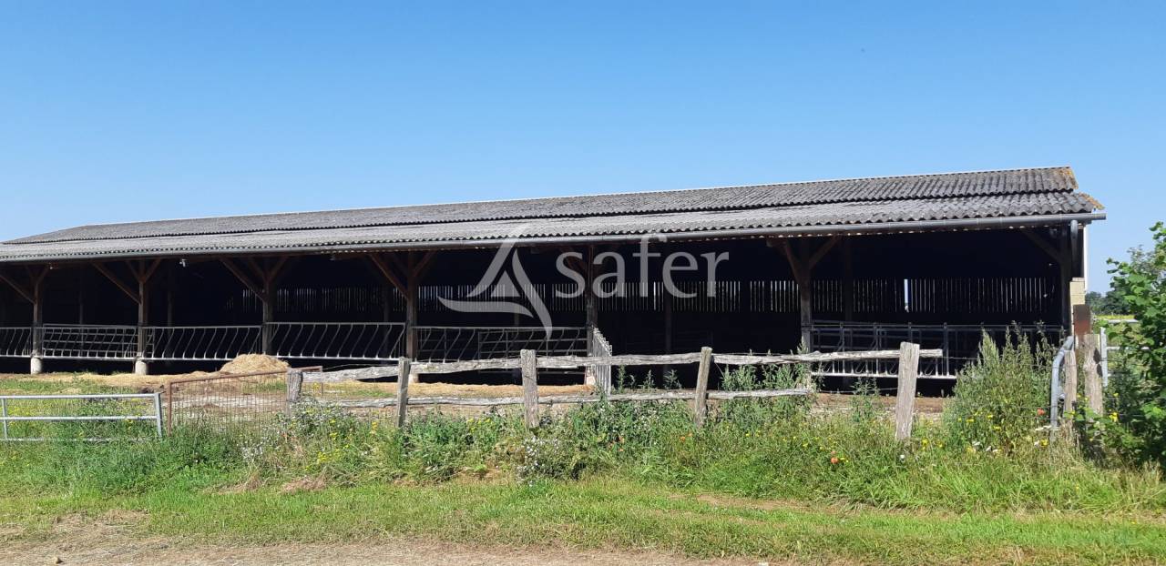 Other agricultural property  Sarthe