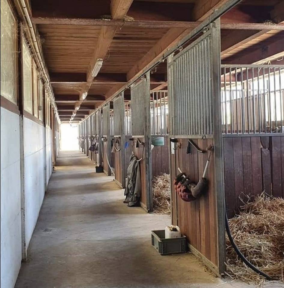 Livery yard  Haute-Savoie