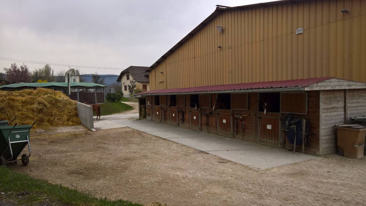Livery yard  Haute-Savoie