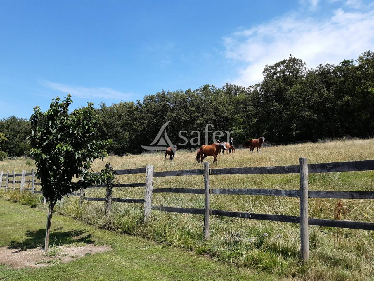 Equestrian property  Vienne