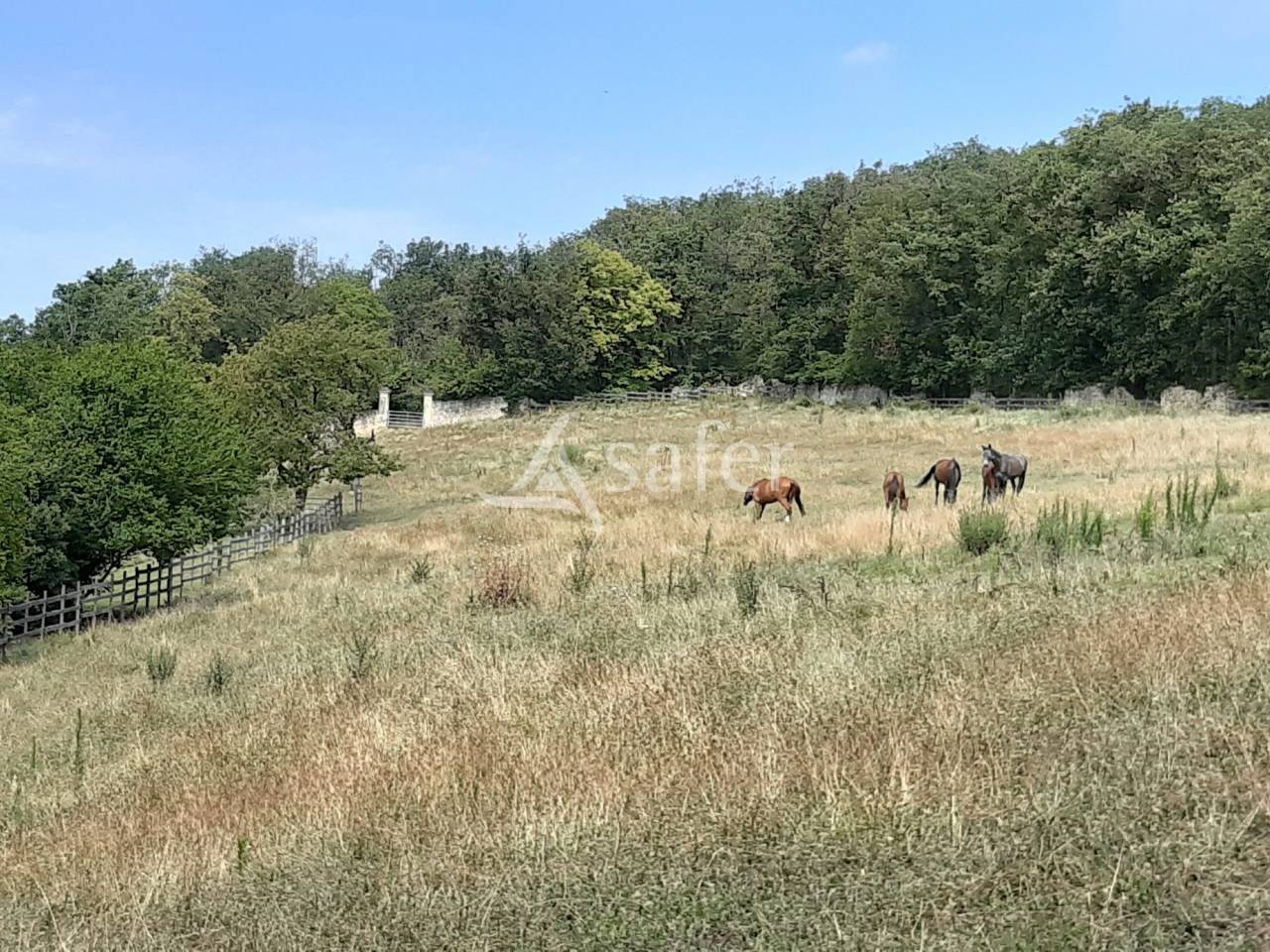 Equestrian property  Vienne