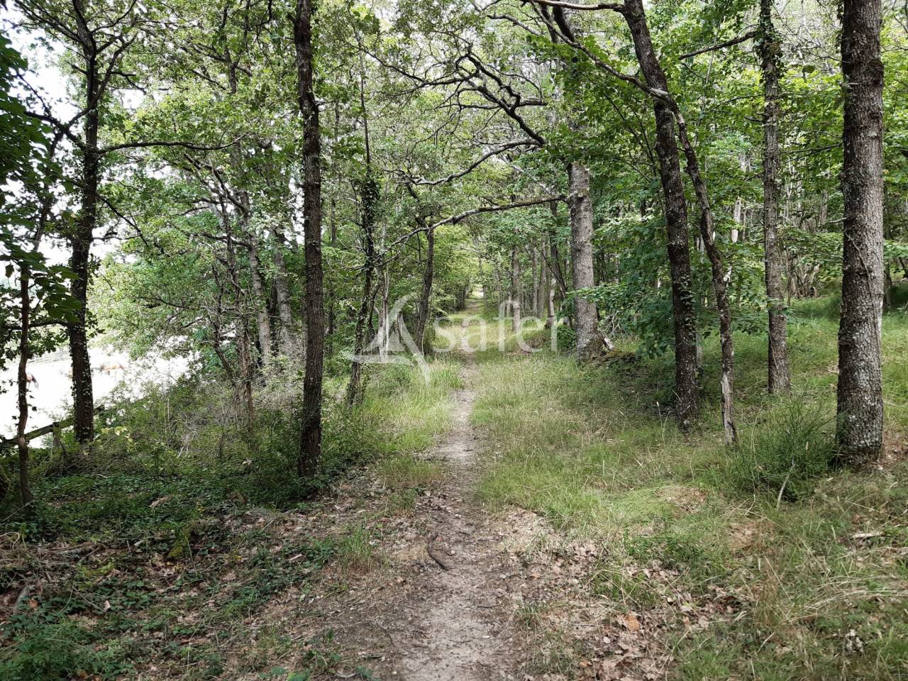 Equestrian property  Vienne