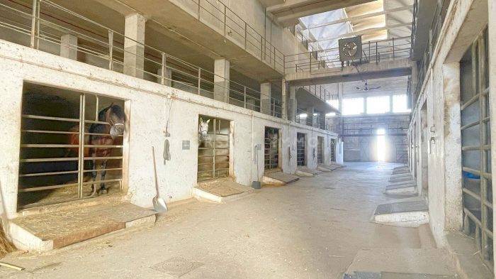 Equestrian property  Bouches-du-Rhône