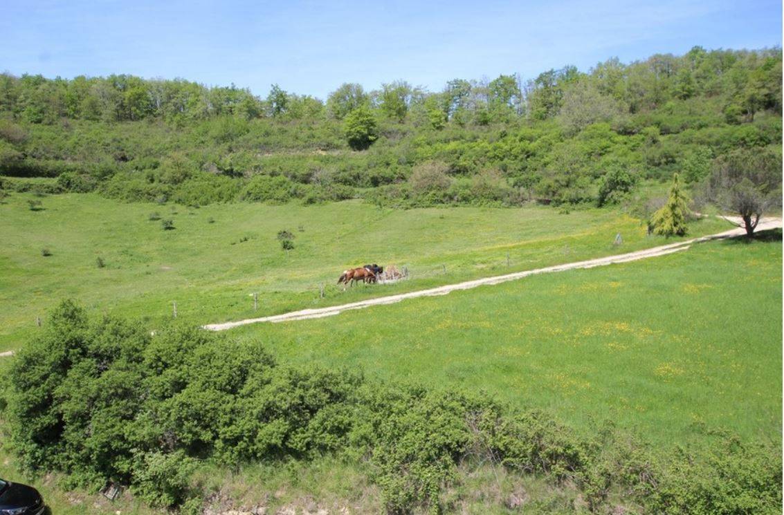 Equestrian property  Ariège
