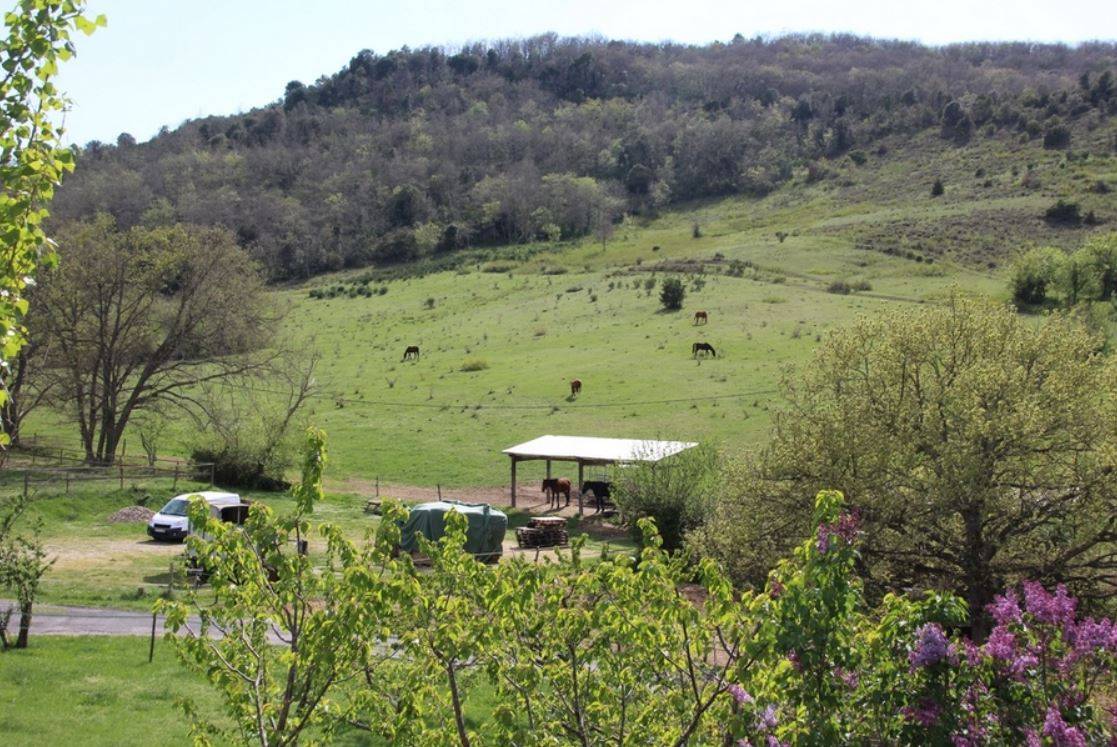 Equestrian Bed and Breakfast  Aude