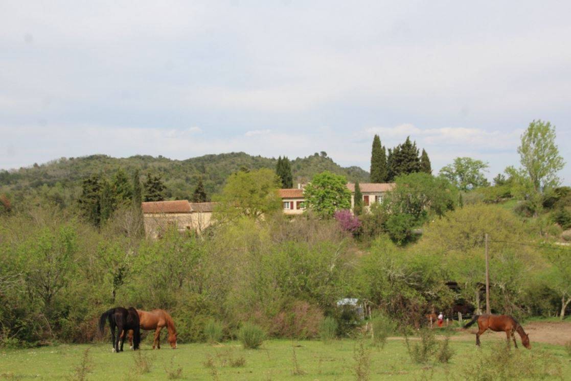 Equestrian Bed and Breakfast  Aude