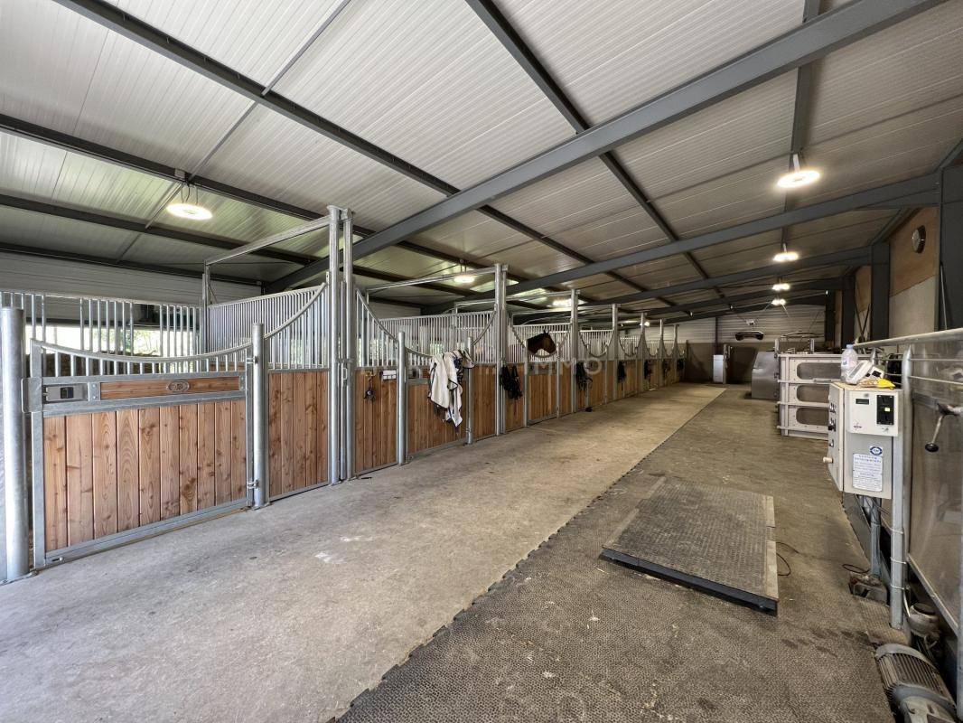 Equestrian property  Haute-Savoie