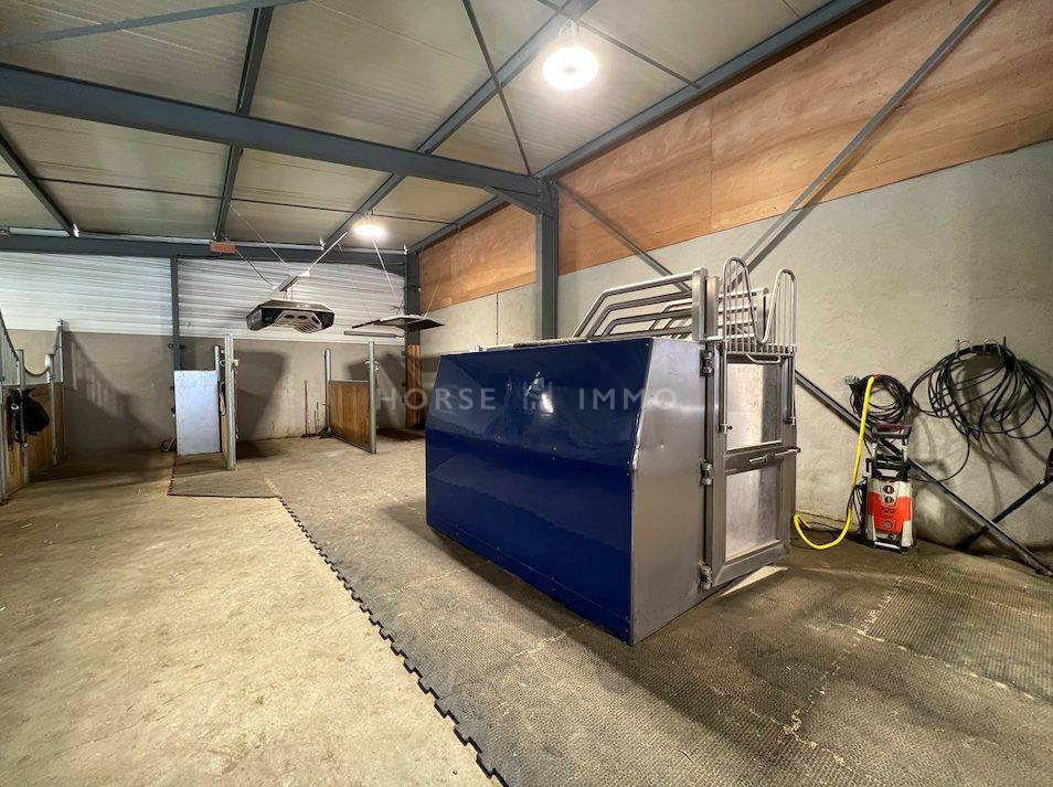 Equestrian property  Haute-Savoie